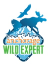certified-anchorage-wild-expert