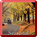 Click here for information on my Seasonal Travel Specials